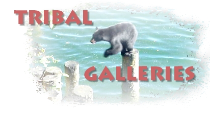 Tribal Galleries Logo