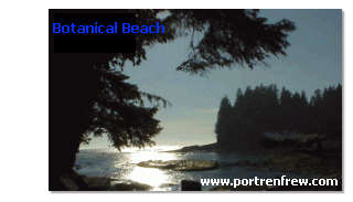 Botanical Beach in the Shadows