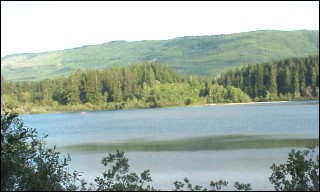 Fairy Lake Vancouver Island image from Harris Main logging road Port Renfrew BC
