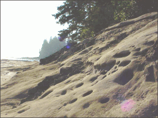  image of the sandstone rock formations and the steep slope to the sea