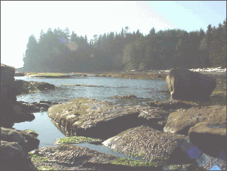 Botanical Beach is a wilderness area