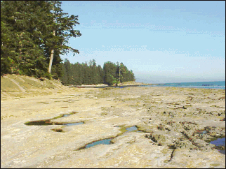 The main tidepools and sculptured formations are formed out of soft sandstone