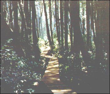images of the construction project - West Coast Trail