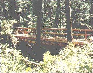 Logan Creek