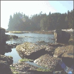 strange geophysical tidal pools