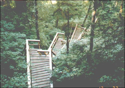 Logan Creek
